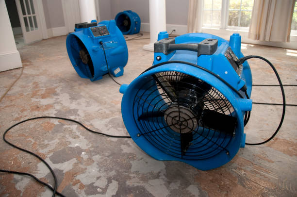 Best 24-hour water damage restoration  in Kekoskee, WI